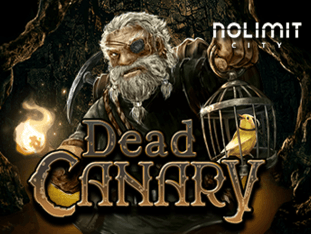 Dead Canary game poster